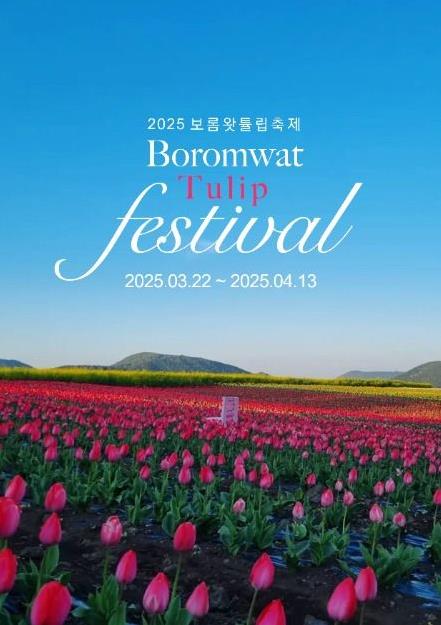 보롬왓 튤립축제