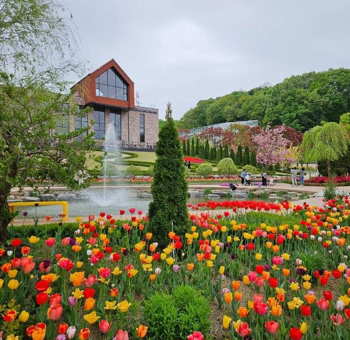 용인 자작나무숲 봄꽃축제, 2025 용인 봄꽃축제, 신청방법, 입장료, 일정, 꿀팁