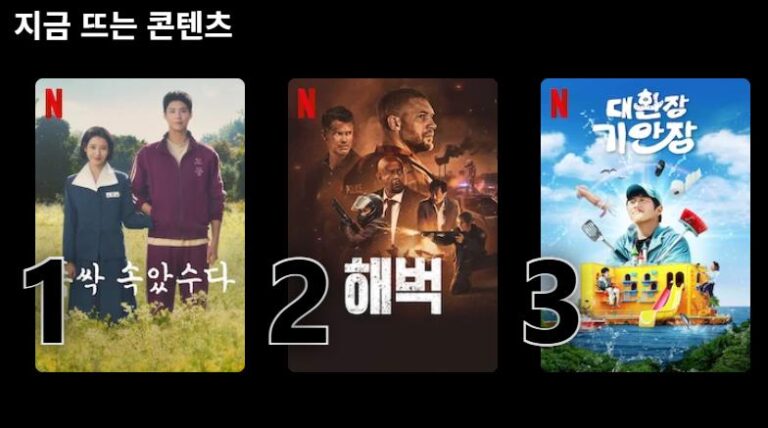 넷플릭스