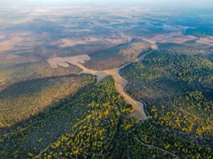 Stunning aerial view of a vast landscape featuring lush green forests and expansive fields.
