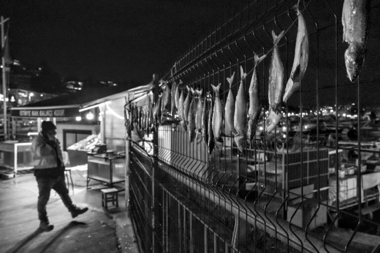 A nighttime black and white photo featuring fish drying at a lively market.