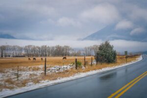 Free stock photo of colorado, mountain adventure, mountain at golden hour