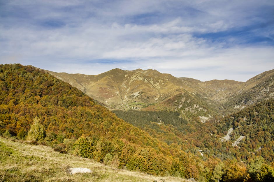 Majestic autumn view of grassy valleys and forested mountains under a clear sky.