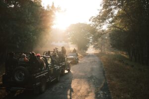 A group of tourists in jeeps explore a safari at sunrise, surrounded by nature.