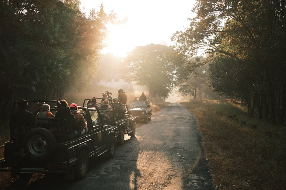 A group of tourists in jeeps explore a safari at sunrise, surrounded by nature.