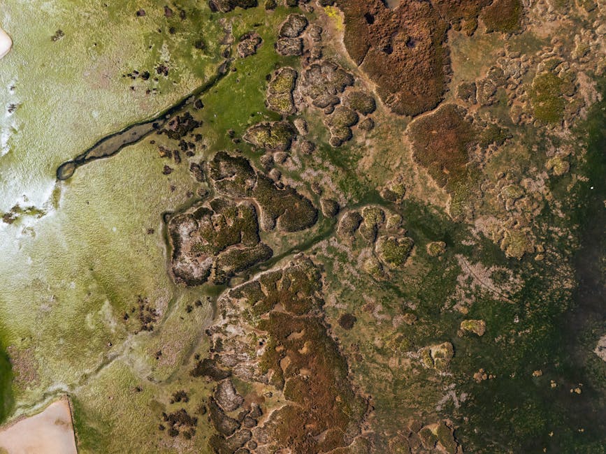 Free stock photo of 2025, 4k aerial, 4k photo