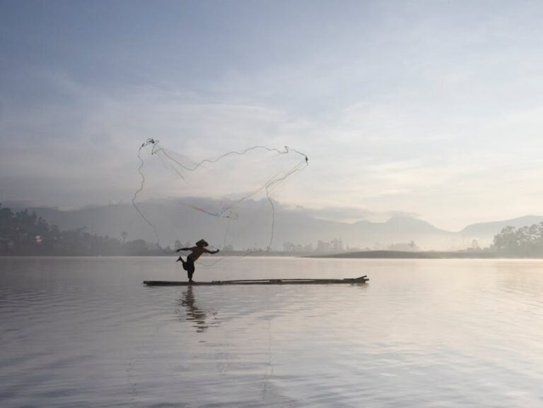 Free stock photo of along, boat, canoe