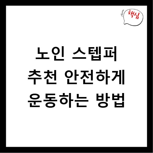 노인 스텝퍼 추천 안전하게 운동하는 방법