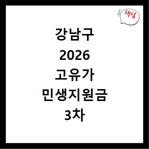 강남구 2026 고유가 민생지원금 3차 신청방법 대상 지급일