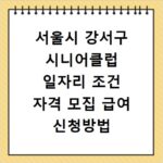 서울시 강서구 시니어클럽 일자리 조건 자격 모집 급여 신청방법