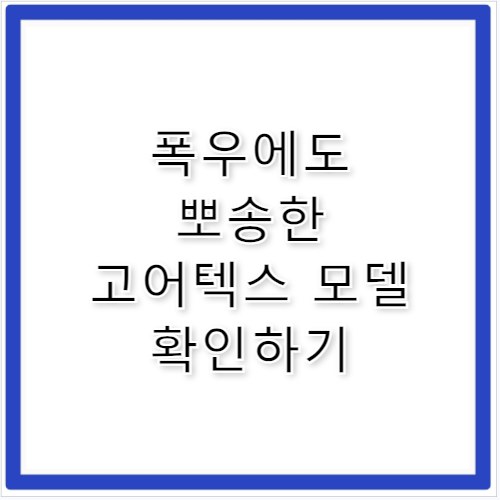 나이키고어텍스운동화 비 오는 날 발 젖을 걱정 끝