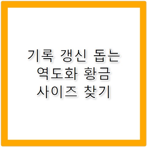 나이키로말레오 스쿼트 기록 갱신 돕는 역도화