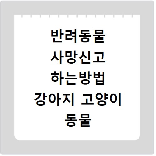반려동물 사망신고 하는방법 강아지 고양이 동물