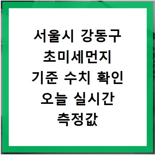 서울시 강동구 초미세먼지 기준 수치 확인 오늘 실시간 측정값 확인하기