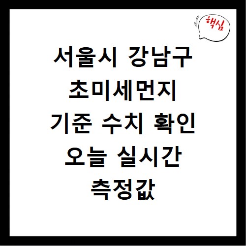 서울시 강남구 초미세먼지 기준 수치 확인 오늘 실시간 측정값 확인하기
