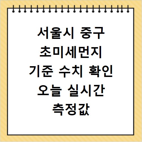 서울시 중구 초미세먼지 기준 수치 확인 오늘 실시간 측정값 확인하기