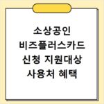 소상공인 비즈플러스카드 신청 지원대상 사용처 혜택
