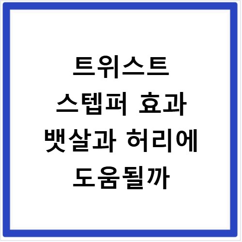 트위스트 스텝퍼 효과 뱃살과 허리에 도움될까