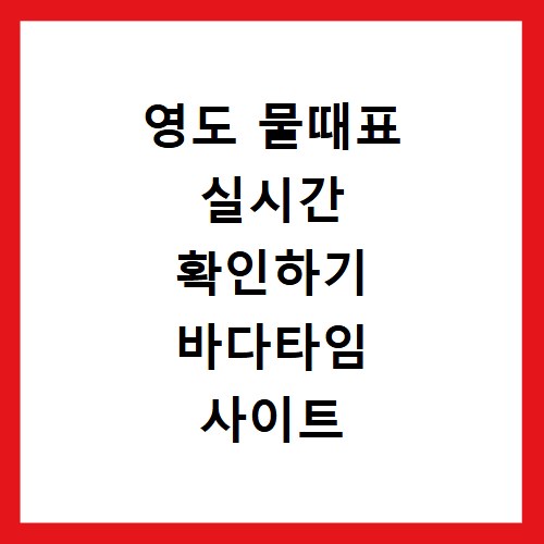 영도 물때표 실시간 확인하기 바다타임 사이트 바로가기