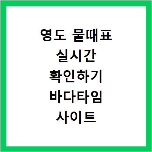 영도 물때표 실시간 확인하기 바다타임 사이트 바로가기