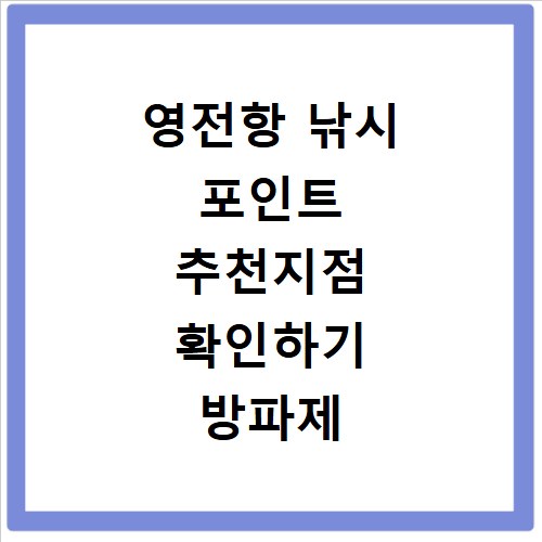 영전항 낚시 포인트 추천지점 확인하기 방파제 포함