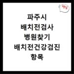 거미 노래모음 전곡듣기 연속듣기