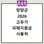 양양군 2026 고유가 피해지원금 사용처 총정리