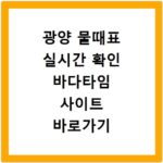 광양 물때표 실시간 확인 바다타임 사이트 바로가기