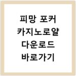 피망 포커 카지노로얄 다운로드 바로가기