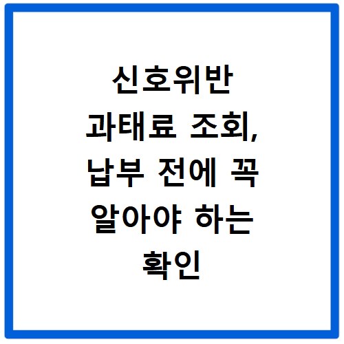 신호위반 과태료 조회, 납부 전에 꼭 알아야 하는 확인 방법