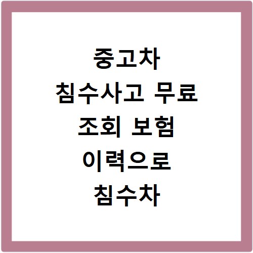 중고차 침수사고 무료 조회 보험 이력으로 침수차 감별하는 법