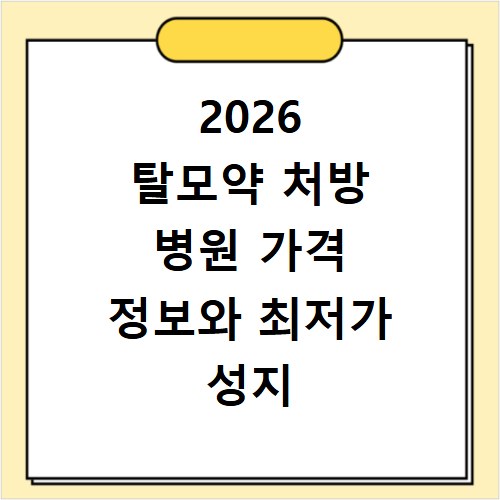 2026 탈모약 처방 병원 가격 정보와 최저가 성지 찾는 법 총정리