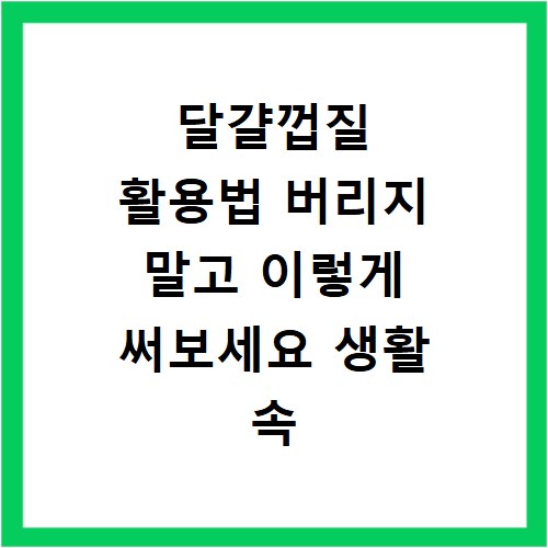 달걀껍질 활용법 버리지 말고 이렇게 써보세요 생활 속 꿀팁 모음집