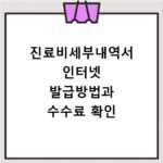 진료비세부내역서 인터넷 발급방법과 수수료 확인