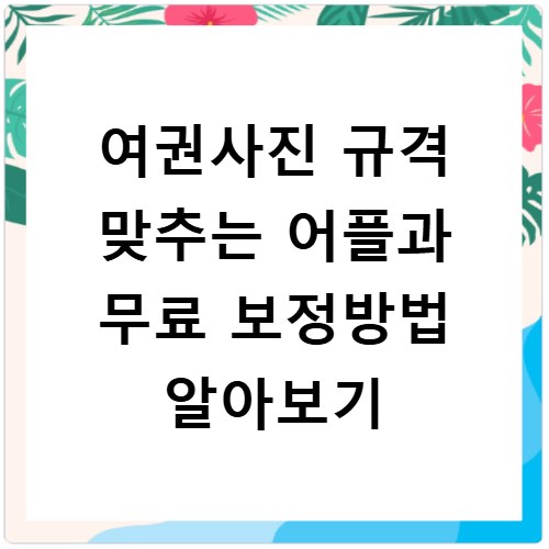 여권사진 규격 맞추는 어플과 무료 보정방법 알아보기