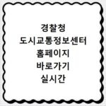 경찰청 도시교통정보센터 홈페이지 바로가기 실시간 도로 상황 확인하는 방법