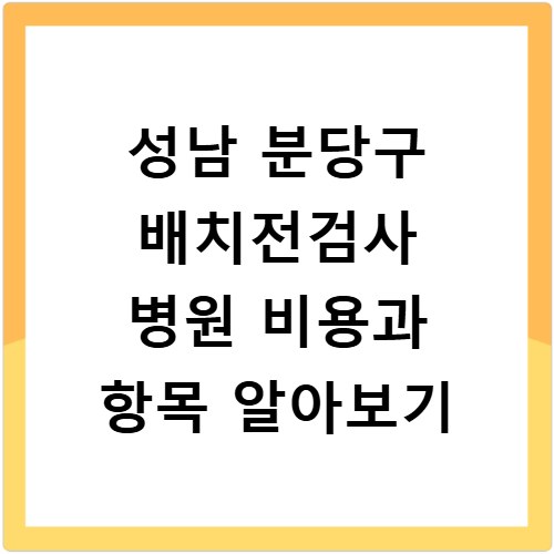 성남 분당구 배치전검사 병원 비용과 항목 알아보기