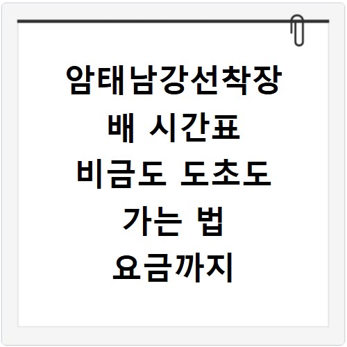 암태남강선착장 배 시간표 비금도 도초도 가는 법 요금까지