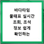 바다타임 물때표 실시간 조회, 조석 정보 쉽게 확인하는 법