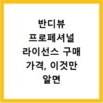 반디뷰 프로페셔널 라이선스 구매 가격, 이것만 알면 끝나요