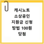 캐시노트 소상공인 지원금 신청 방법 100원 당첨 후기