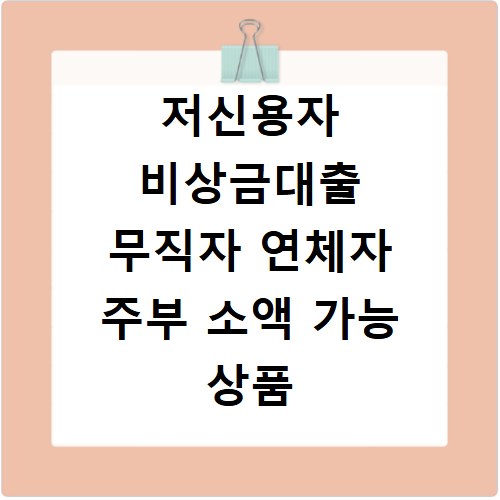 저신용자 비상금대출 무직자 연체자 주부 소액 가능 상품