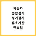 자동차 종합검사 정기검사 유효기간 만료일 확인 방법