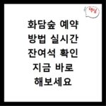 화담숲 예약 방법 실시간 잔여석 확인 지금 바로 해보세요