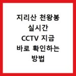 지리산 천왕봉 실시간 CCTV 지금 바로 확인하는 방법