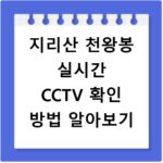 지리산 천왕봉 실시간 CCTV 확인 방법 알아보기