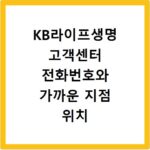 KB라이프생명 고객센터 전화번호와 가까운 지점 위치 쉽게 찾기