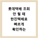 롯데택배 조회 안 될 때 한진택배로 빠르게 확인하는 방법