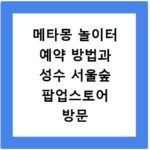 메타몽 놀이터 예약 방법과 성수 서울숲 팝업스토어 방문 팁