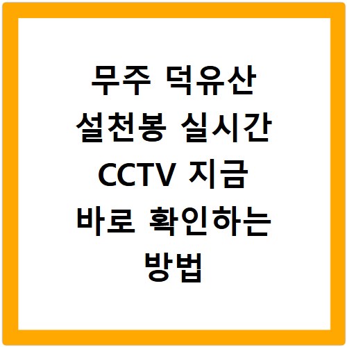 무주 덕유산 설천봉 실시간 CCTV 지금 바로 확인하는 방법